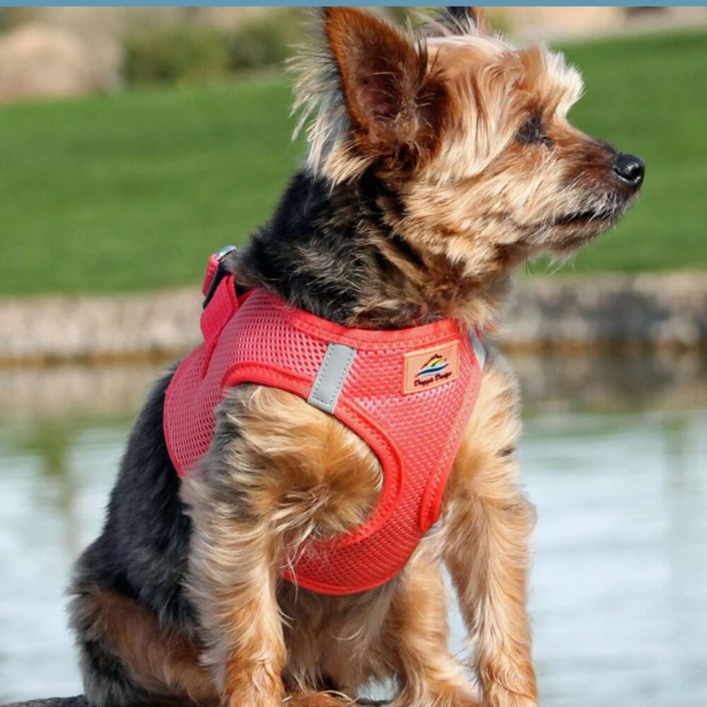 NWT DOGGIE DESIGN AMERICAN RIVER CHOKE FREE Dog HARNESS CORAL PINK ORANGE XXS